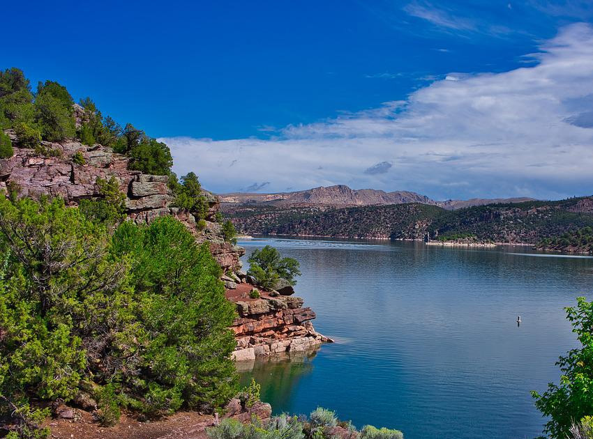 Flaming Gorge shoreline with trees